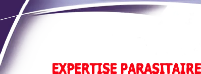 Alaric Conseil blanc